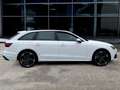 Audi A4 2.0 TDI 190 CV 40 T  S tronic Bianco - thumbnail 5