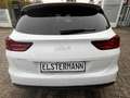 Kia Ceed SW / cee'd SW Vision SHZ*LHZ*CarPlay*AndroidAuto Blanc - thumbnail 5