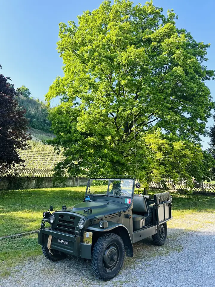 Fiat Campagnola AVIOLANCIABILE, foto 2