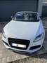 Audi TT RS Audi TT RS "plus" ROADSTER 8J TTRS S-TRONIC SUZUKAGRAU, 460 PS, Schalensitze, Keramikbremse, RAR/TOP/LIEBHABER !!! Grau - thumbnail 1