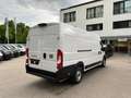 Fiat Ducato Maxi 35 L4H2 RüKa CarPlay Allwetter Klima Wit - thumbnail 5