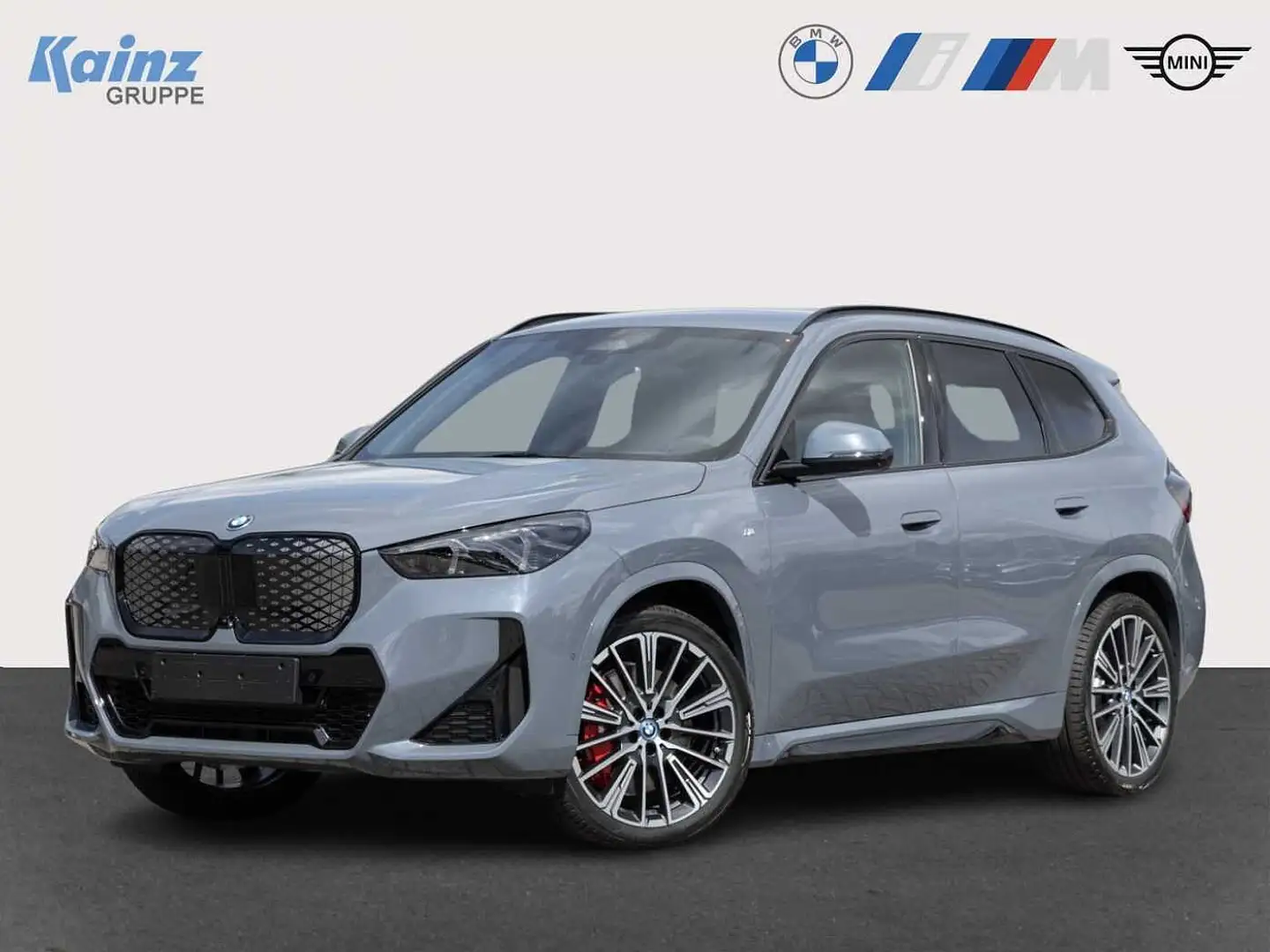 BMW iX1 xDrive30 M Sportpaket M-Paket/Live Cockpit Prof/AH Grau - 1