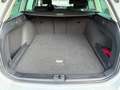 Volkswagen Passat Variant Passat Variant 1.5 TSI OPF DSG Comfortline.Tuv Neu Weiß - thumbnail 14