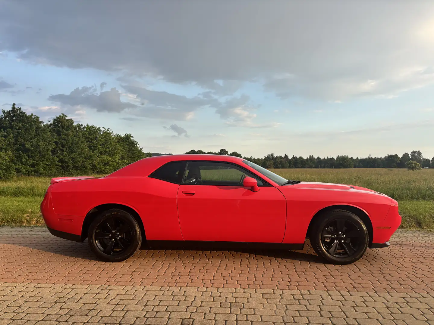 Dodge Challenger Automatik SXT 2019 - 2