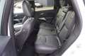 Jeep Cherokee Limited °4x4°ACC°Navi°AHK°Sihzg° Weiß - thumbnail 10