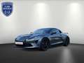 Alpine A110 R Turini *Akrapovic*Ablage-Paket* Grigio - thumbnail 1