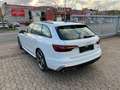 Audi A4 Avant 50 TDI quattro S line PANO*VIRTUAL*360° Weiß - thumbnail 2