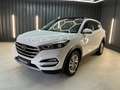 Hyundai TUCSON blue Trend 2WD * AHK * LED* Panorama-Dach Weiß - thumbnail 3