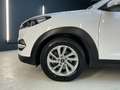 Hyundai TUCSON blue Trend 2WD * AHK * LED* Panorama-Dach Weiß - thumbnail 16