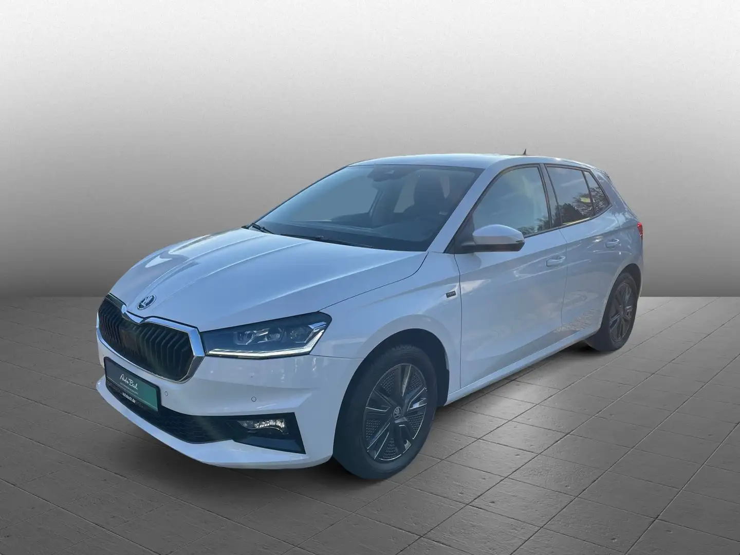Skoda Fabia Tour Selection 1.0TSI Navi LED EPH GRA Weiß - 1