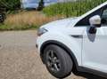 Ford Kuga Kuga 2.0 TDCi 4x4 Aut. Titanium Weiß - thumbnail 10