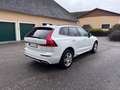 Volvo XC60 XC60 T6 AWD Recharge PHEV Panorama SUV Weiß - thumbnail 5