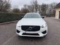 Volvo XC60 XC60 T6 AWD Recharge PHEV Panorama SUV Weiß - thumbnail 2