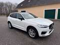 Volvo XC60 XC60 T6 AWD Recharge PHEV Panorama SUV Weiß - thumbnail 7