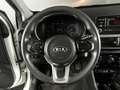 Kia Picanto 1.0 CVVT CONCEPT 5P Blanco - thumbnail 14