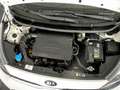 Kia Picanto 1.0 CVVT CONCEPT 5P Blanco - thumbnail 27