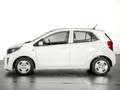 Kia Picanto 1.0 CVVT CONCEPT 5P Blanco - thumbnail 6