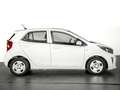 Kia Picanto 1.0 CVVT CONCEPT 5P Blanco - thumbnail 3