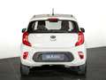 Kia Picanto 1.0 CVVT CONCEPT 5P Blanco - thumbnail 5