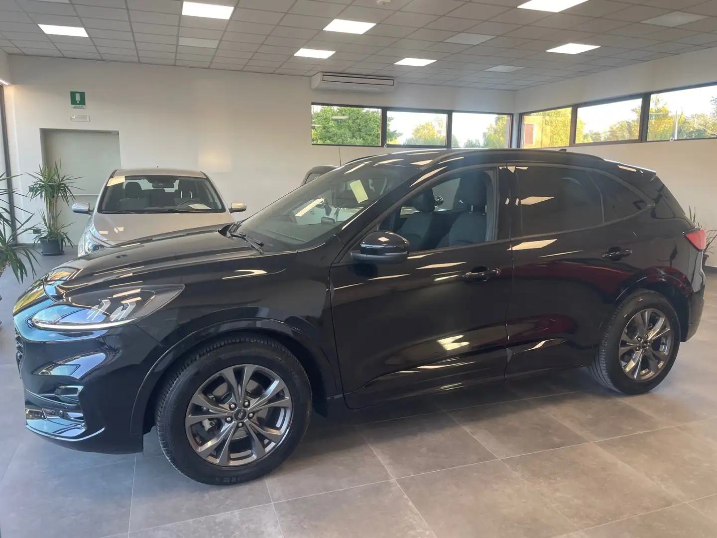 Ford Kuga Kuga 1.5 EcoBlue 120 CV aut. 2WD ST-Line Nero - 2