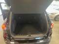 Ford Kuga Kuga 1.5 EcoBlue 120 CV aut. 2WD ST-Line Nero - thumbnail 15