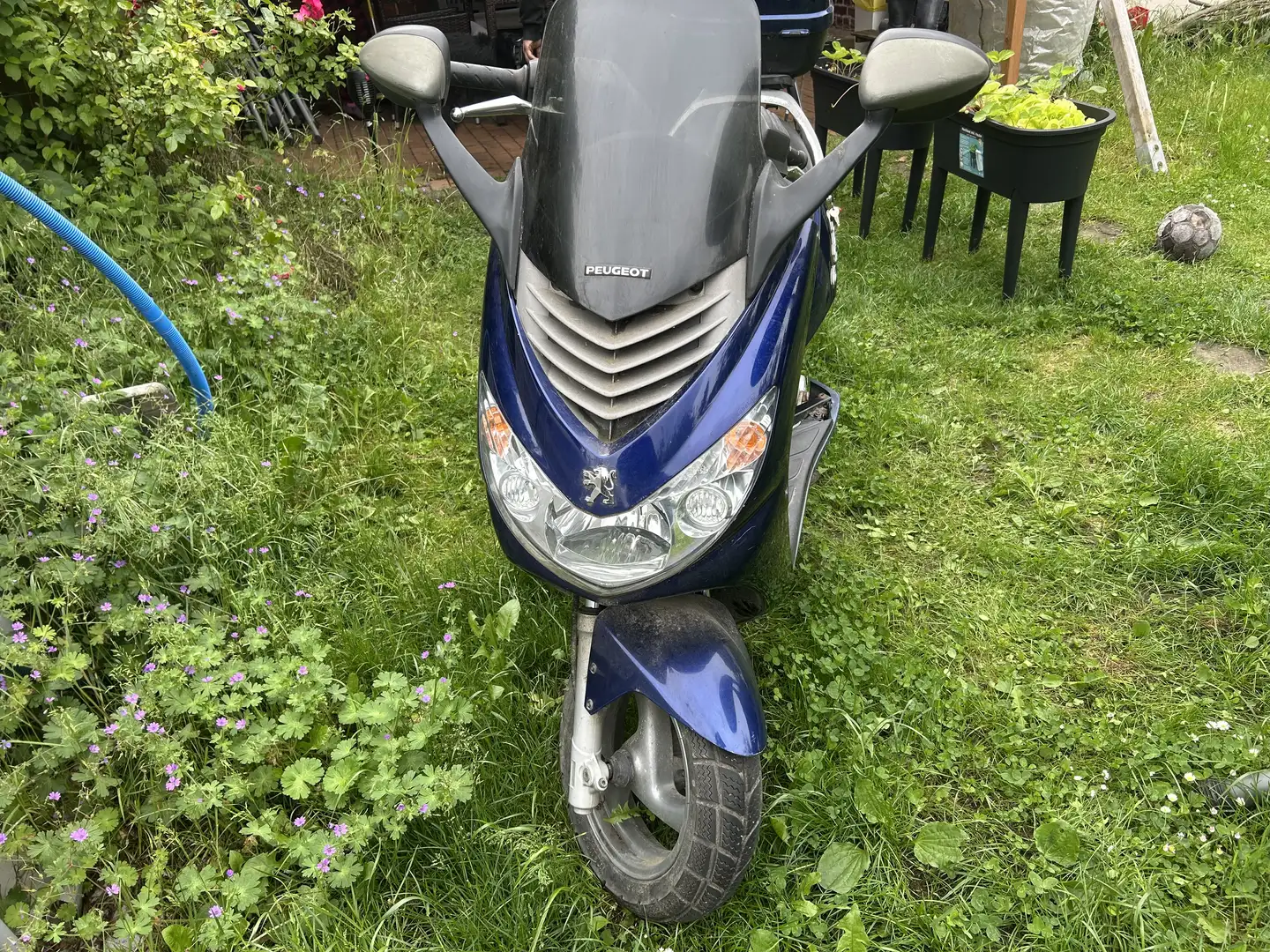 Peugeot Elystar Bastler Fahrzeug - 1