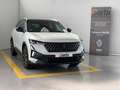 Renault Austral 1.2 full hybrid e-tech Techno 146kW Blanco - thumbnail 1