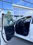 Kia Rio 5p 1.1 crdi Cool E6 - thumbnail 10