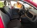 Fiat Panda Panda 1.0 firefly hybrid s Rouge - thumbnail 7