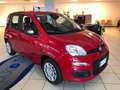 Fiat Panda Panda 1.0 firefly hybrid s Rouge - thumbnail 4