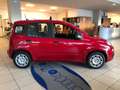 Fiat Panda Panda 1.0 firefly hybrid s Rouge - thumbnail 5
