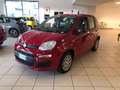 Fiat Panda Panda 1.0 firefly hybrid s Rouge - thumbnail 1
