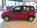 Fiat Panda Panda 1.0 firefly hybrid s Rouge - thumbnail 3