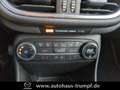 Ford Fiesta 1.0 EcoBoost Titanium Allwetter Blau - thumbnail 16