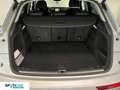Audi Q5 Q5 2.0 TDI 190 CV quattro S tronic Gris - thumbnail 13