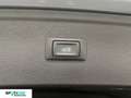 Audi Q5 Q5 2.0 TDI 190 CV quattro S tronic Gris - thumbnail 19