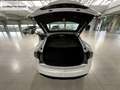 Tesla Model S Model S Blanc - thumbnail 13