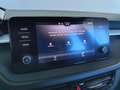 Skoda Fabia Ambition 1,0 TSI ab € 250 / Monat Schwarz - thumbnail 14