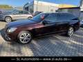 Mercedes-Benz E 300 CDI T Aut.BE Leder Navi GSD AHK Xenon Brun - thumbnail 10