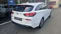 Hyundai i30 CW 1,5 DPI GO Weiß - thumbnail 10