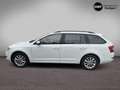 Skoda Octavia 2.0 TDI Style HU Neu | NAVI | PTS | SHZ Weiß - thumbnail 4