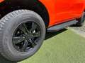 Ford Ranger 2.0 Ecoblue Single Cab XLT 170cv 4x4 35000KM Blu/Azzurro - thumbnail 5