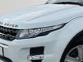 Land Rover Range Rover Evoque 2.2 Pure Aut. | Panorama | Leder | Weiß - thumbnail 7