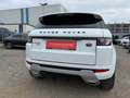 Land Rover Range Rover Evoque 2.2 Pure Aut. | Panorama | Leder | Weiß - thumbnail 10