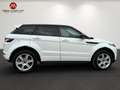Land Rover Range Rover Evoque 2.2 Pure Aut. | Panorama | Leder | Blanco - thumbnail 4