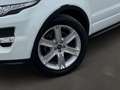 Land Rover Range Rover Evoque 2.2 Pure Aut. | Panorama | Leder | Weiß - thumbnail 8