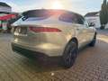 Jaguar F-Pace F-PACE Pure Garantie Finan Grau - thumbnail 13