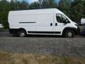 Opel Movano Kasten  35  L4H2 BlueHDI 140 White - thumbnail 1