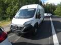 Opel Movano Kasten  35  L4H2 BlueHDI 140 White - thumbnail 3