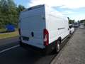 Opel Movano Kasten  35  L4H2 BlueHDI 140 White - thumbnail 4